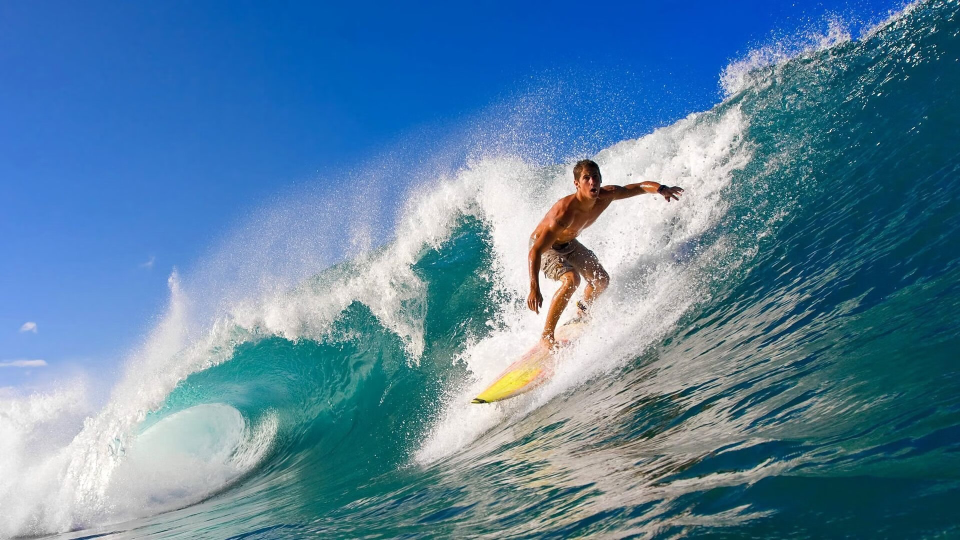 体育科技展亮相国际会展中心，2020年国际体育展会